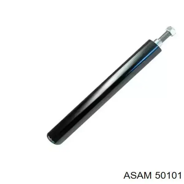 50101 Asam