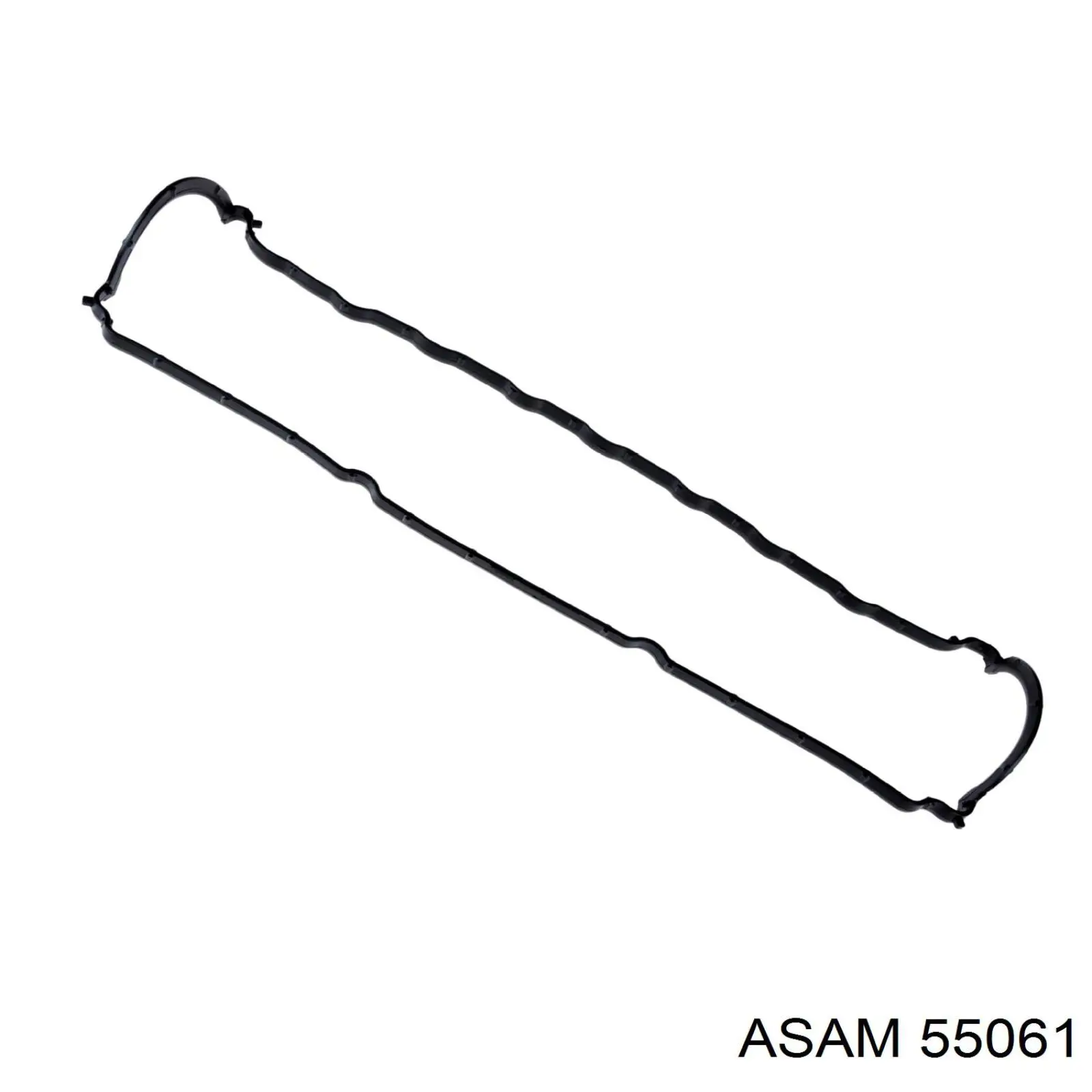 55061 Asam