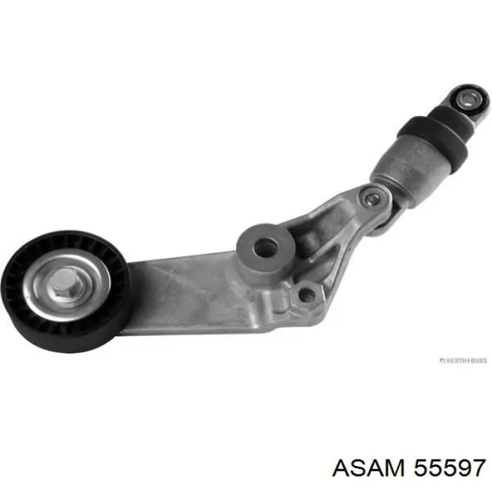 Роликовий модуль натяжителя ремня Asam 55597 цена, от 14.99 USD