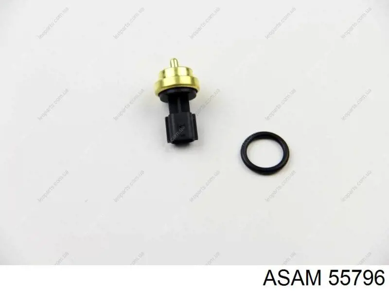 Sensor de temperatura del motor 55796 Asam