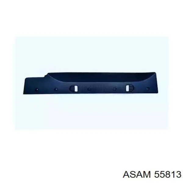 55813 Asam накладка багажника (двери 3/5-й задней левая)