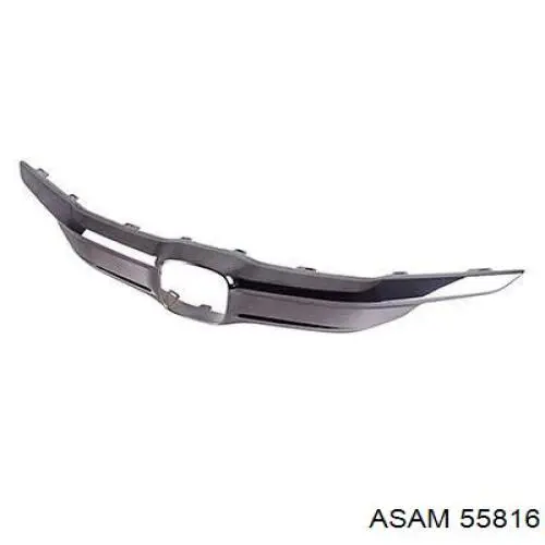 55816 Asam