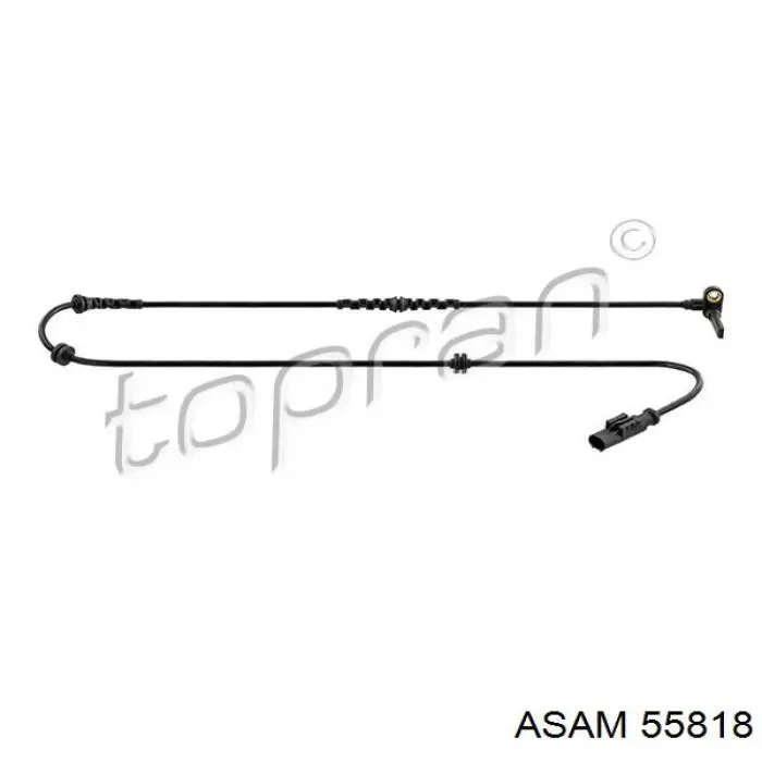 55818 Asam