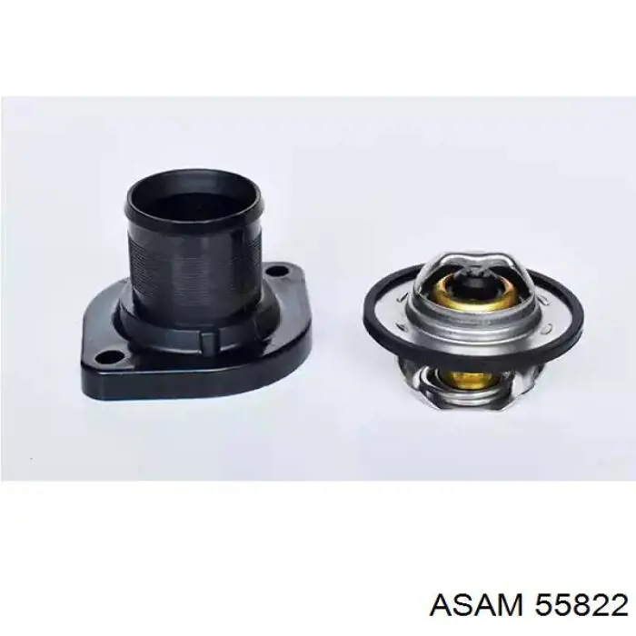 Купить 55822 Asam Автомобильный термостат