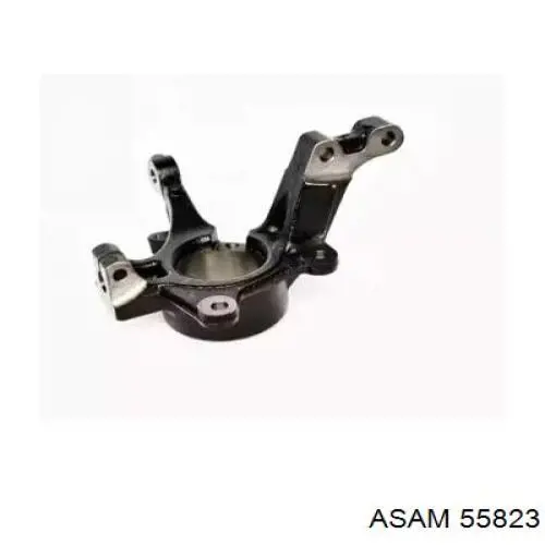 Цапфа (поворотный кулак) передний левый Asam 55823 цена, от 55.36 USD