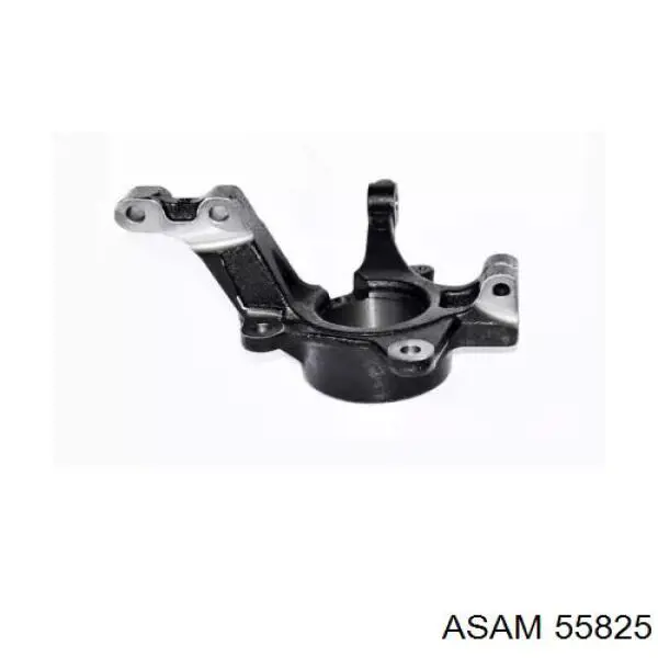 55825 Asam