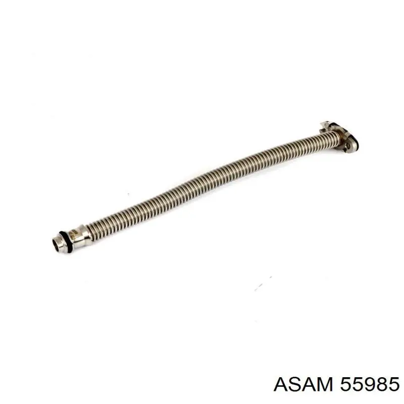 55985 Asam