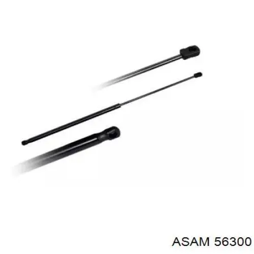 Амортизатор задней двери Asam 56300 цена, от 9.07 USD