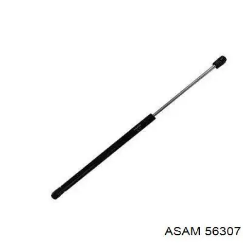 Амортизатор задней двери Asam 56307 цена, от 11.09 USD
