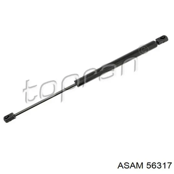 Амортизатор задней двери Asam 56317 цена, от 12.27 USD