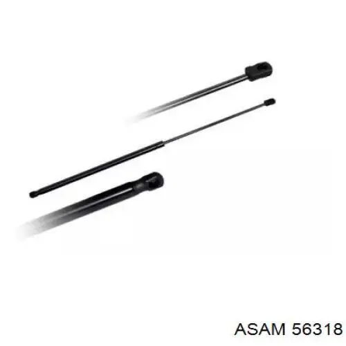 Купить 56318 Asam Амортизатор двери багажника