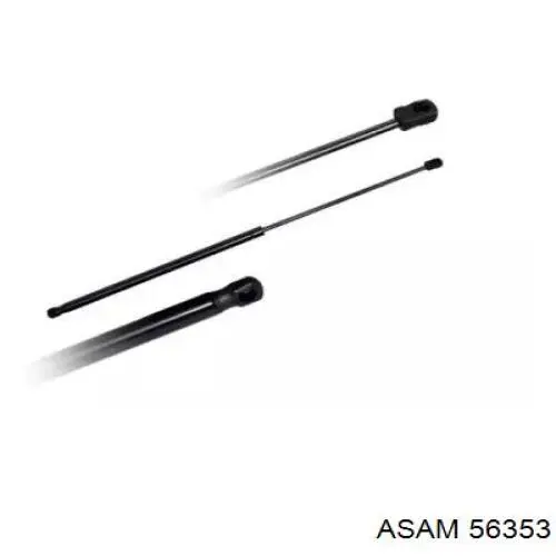 Амортизатор задней двери Asam 56353 цена, от 14.54 USD