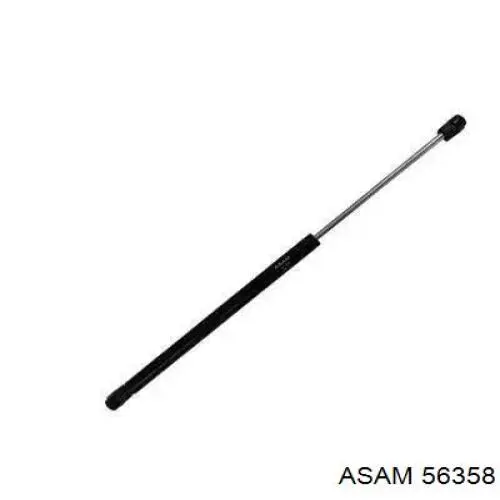 56358 Asam