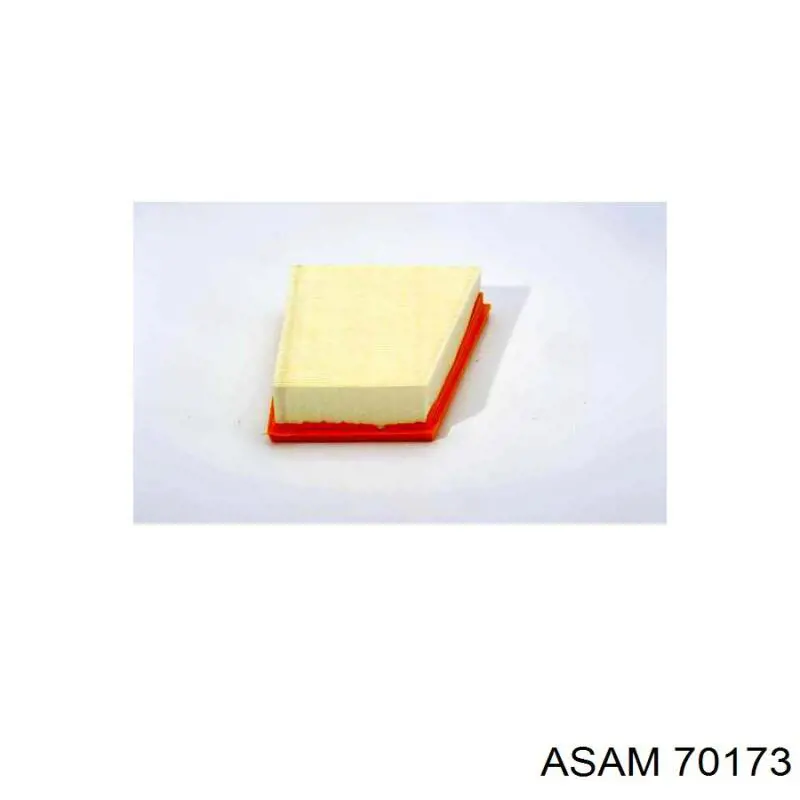 Купить 70173 Asam Автомобильный фильтр воздуха