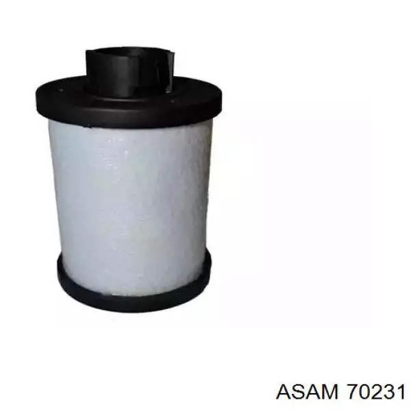 70231 Asam топливный фильтр
