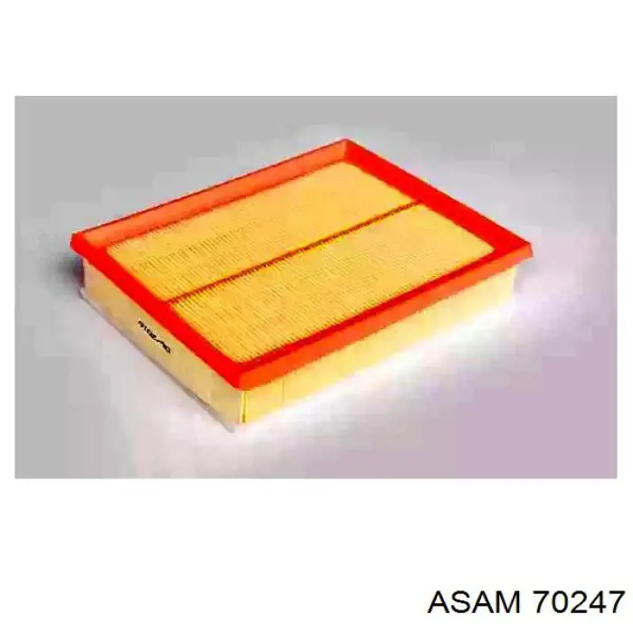 70247 Asam топливный фильтр