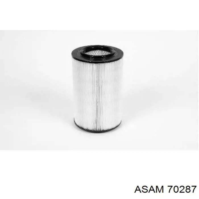 Купить 70287 Asam Автомобильный фильтр воздуха