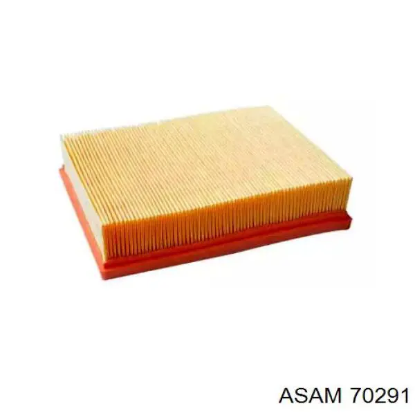 Купить 70291 Asam Автомобильный фильтр воздуха