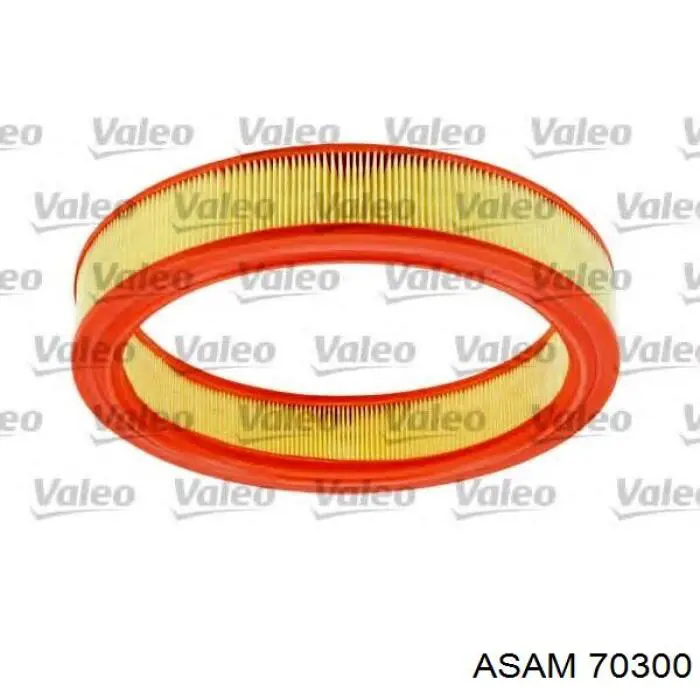 Купить 70300 Asam Автомобильный фильтр воздуха