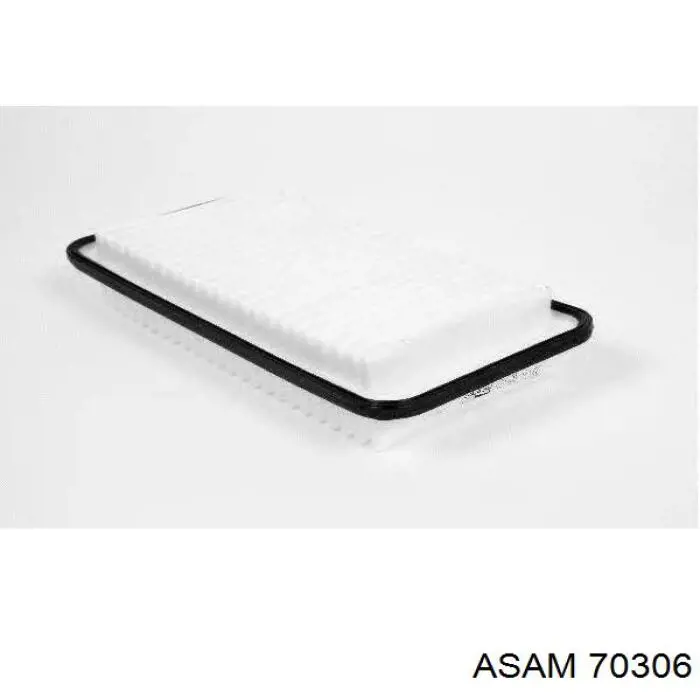 Купить 70306 Asam Автомобильный фильтр воздуха