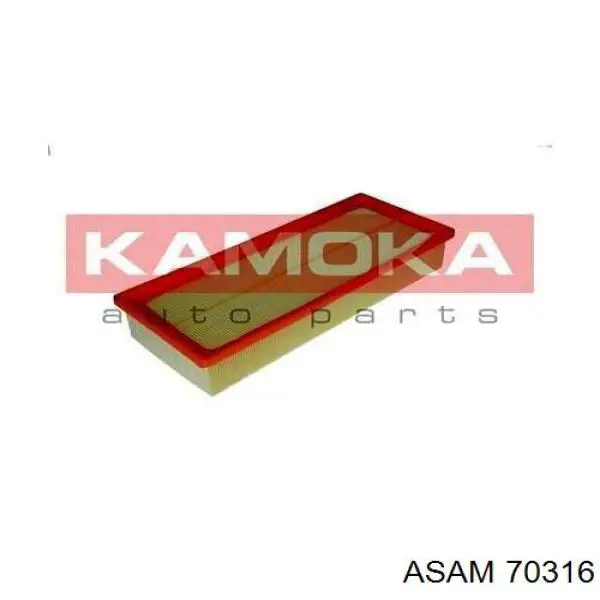 Купить 70316 Asam Автомобильный фильтр воздуха