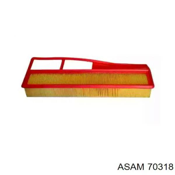 Купить 70318 Asam Автомобильный фильтр воздуха