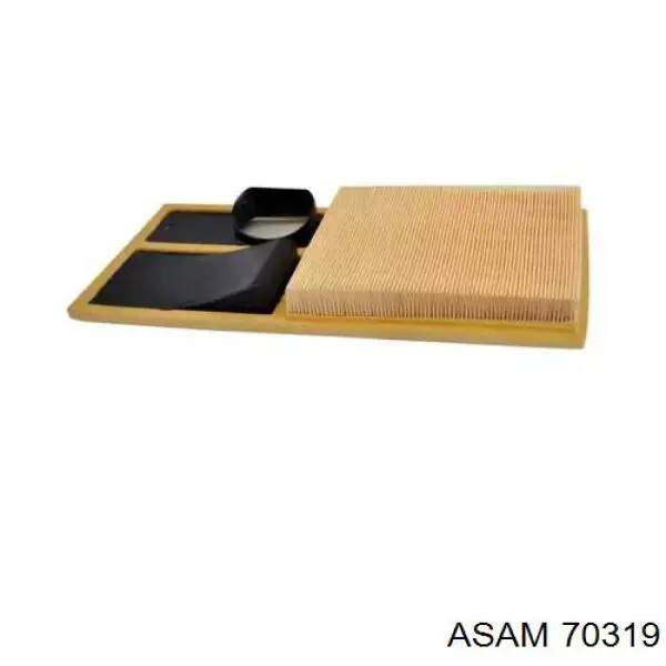 Купить 70319 Asam Автомобильный фильтр воздуха
