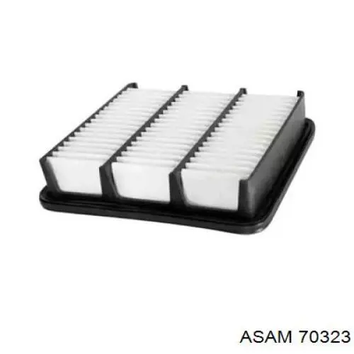Купить 70323 Asam Автомобильный фильтр воздуха