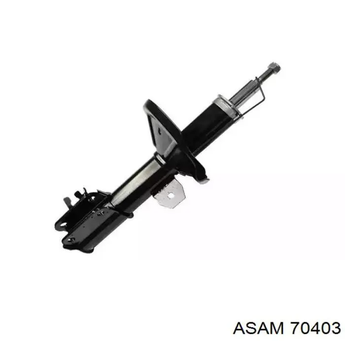70403 Asam