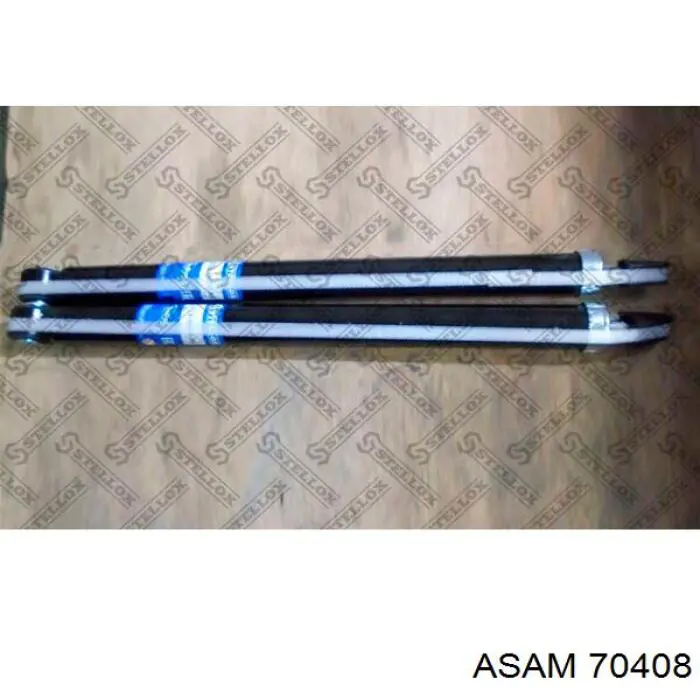 Купить 70408 Asam Амортизатор задней подвески