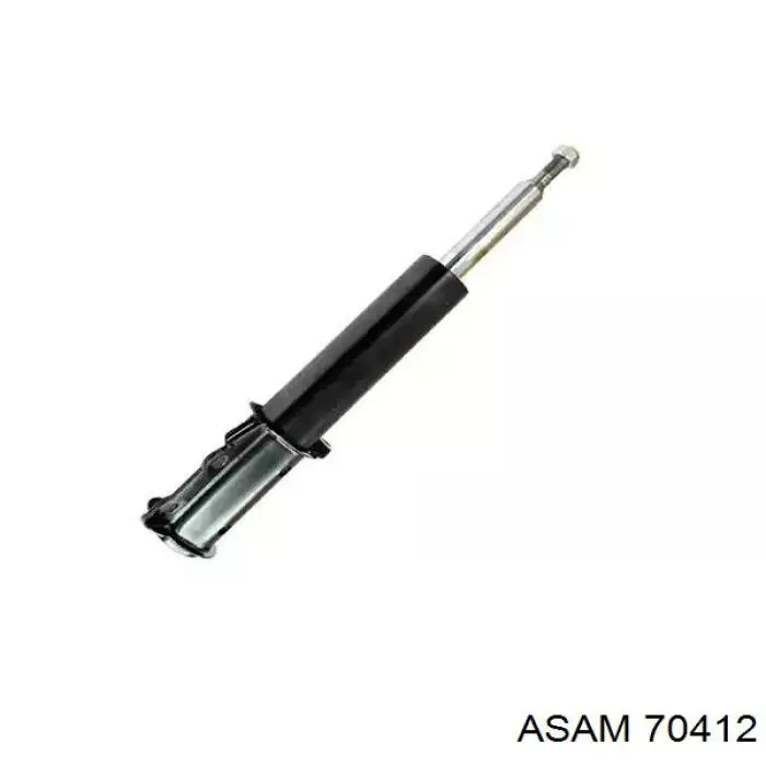 70412 Asam