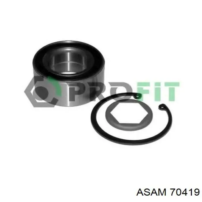 Купить 70419 Asam Амортизатор передней подвески
