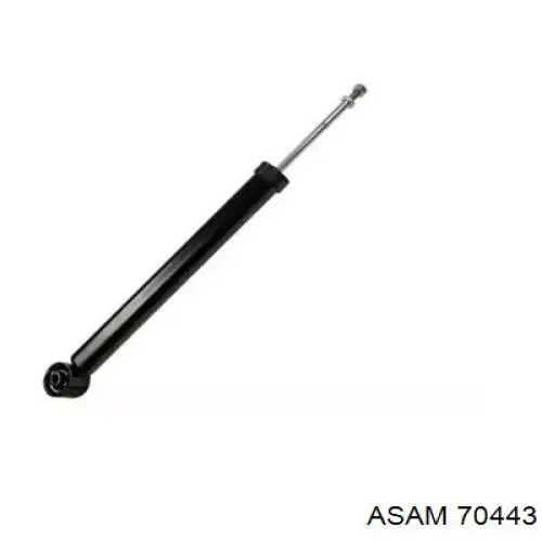70443 Asam Амортизаторы задние