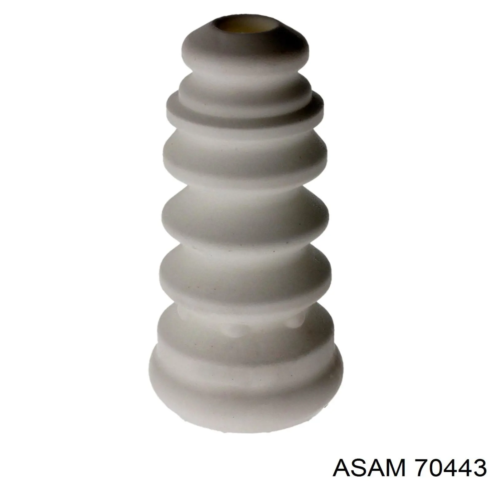 Купить 70443 Asam Амортизатор задней подвески