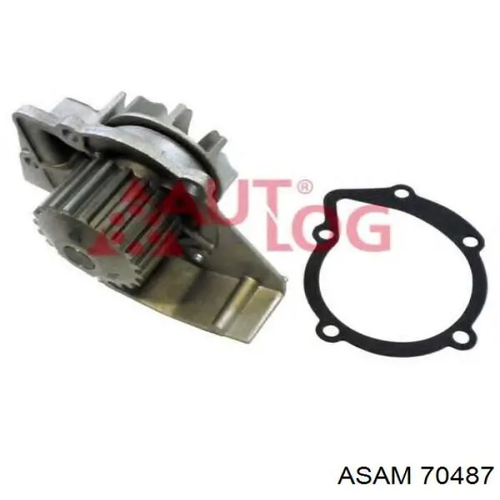 Помпа 70487 Asam
