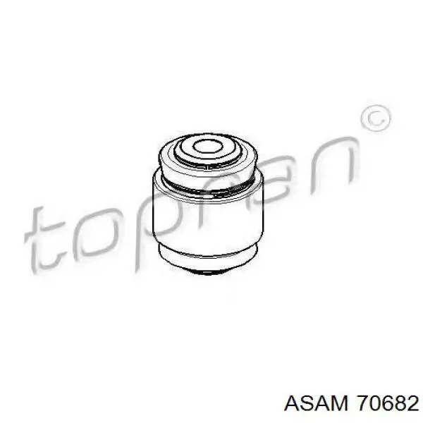 Купить 70682 Asam Сайлентблок цапфы задней