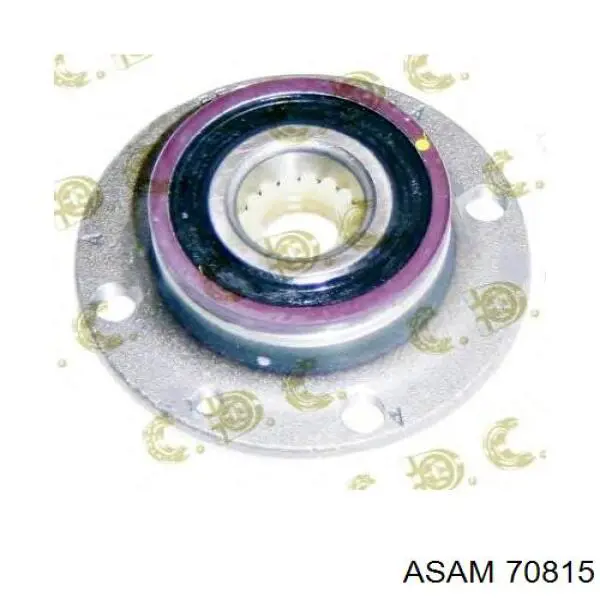 Маточина задня 70815 Asam