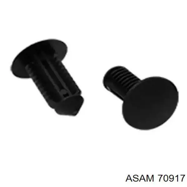 70917 Asam 