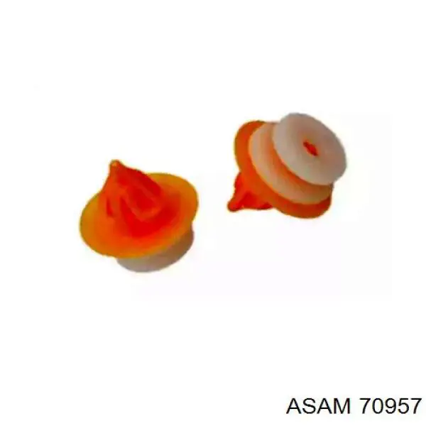 70957 Asam cápsula (prendedor de fixação de revestimento de tampa de porta-malas)