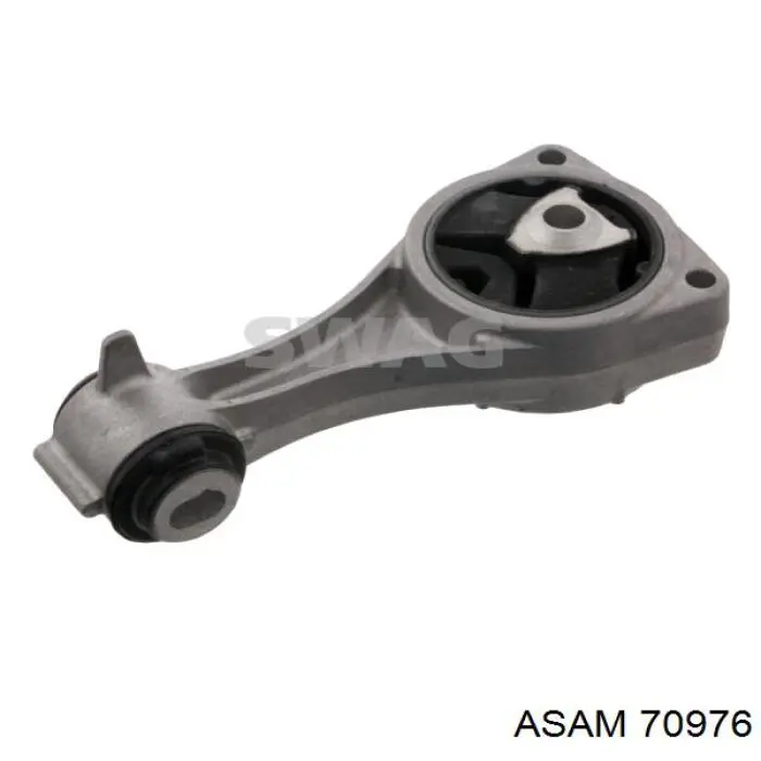  70976 Asam