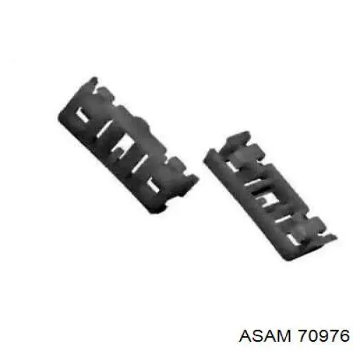 70976 Asam 