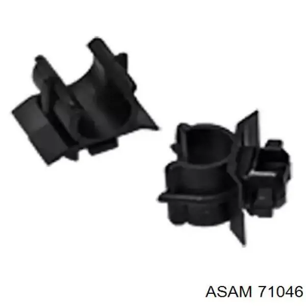  71046 Asam