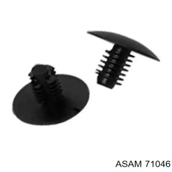 71046 Asam 