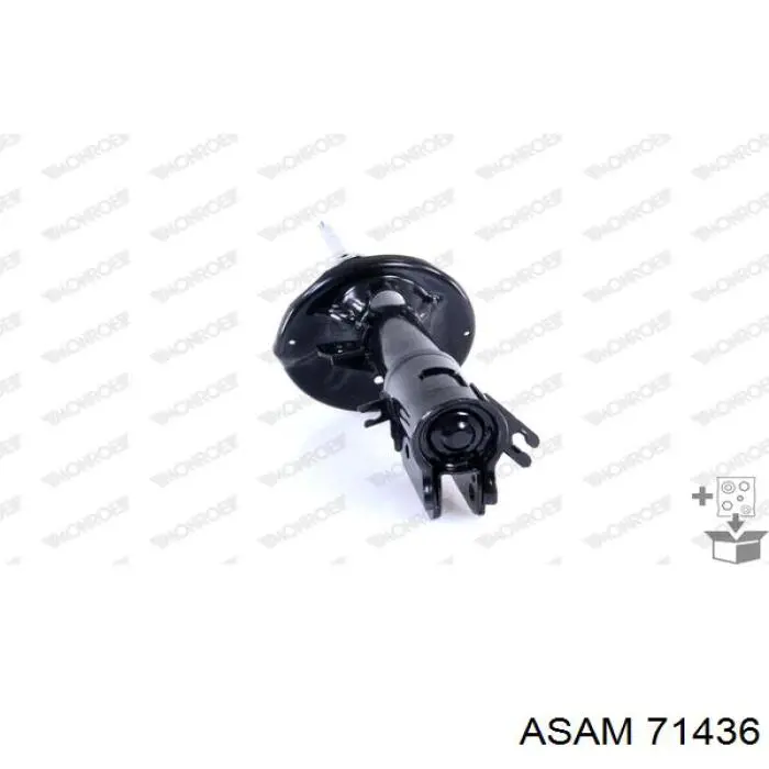 Стойка амортизатора задняя Asam 71436 цена, от 29.17 USD