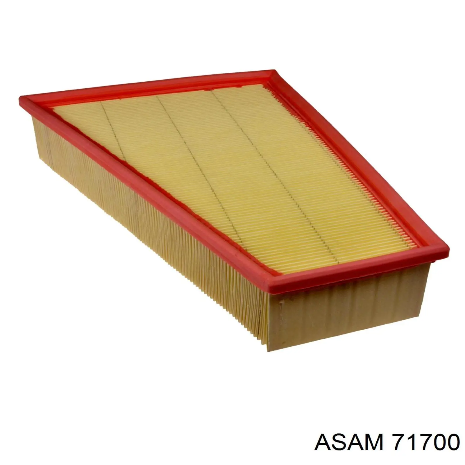 Купить 71700 Asam Автомобильный фильтр воздуха