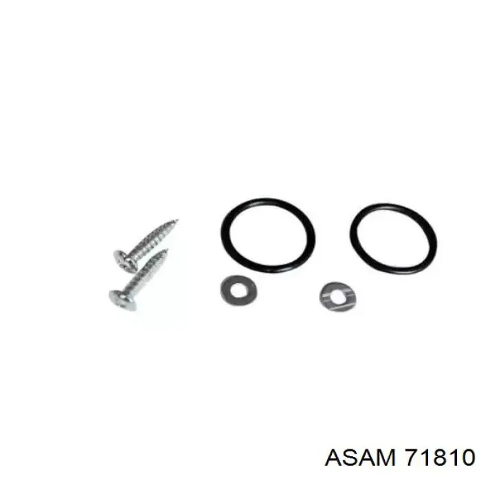 71810 Asam radiador de forno (de aquecedor)