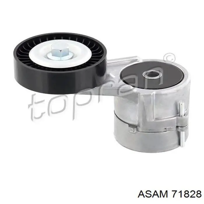 Купить 71828 Asam Натяжной ролик