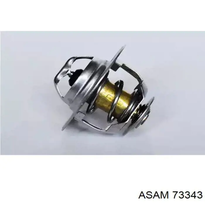 Термостат 73343 Asam