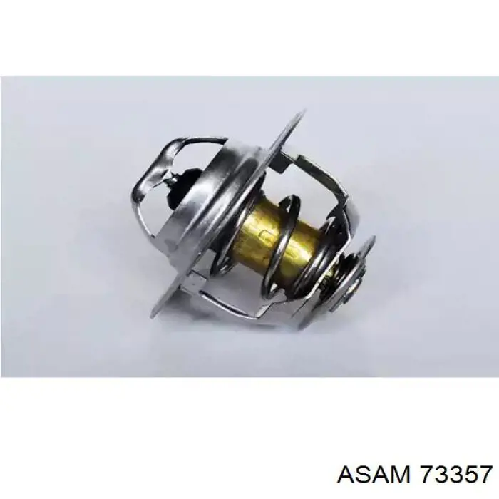 Купить 73357 Asam Автомобильный термостат
