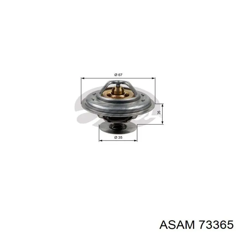 Термостат в сборе Asam 73365